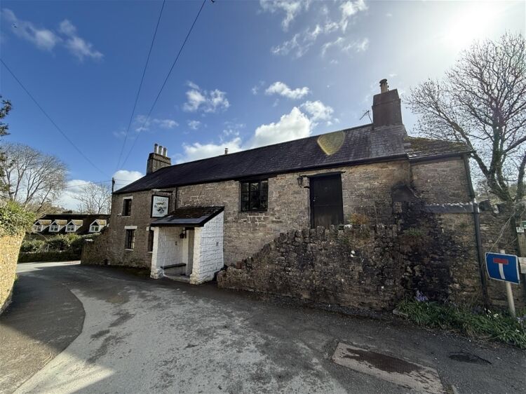 14C South Devon Village Freehouse For Sale in Totnes