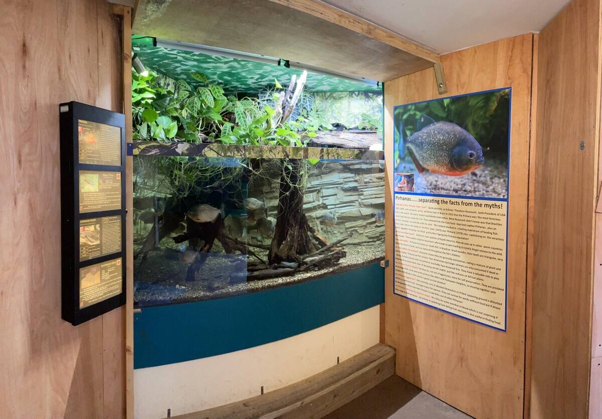 Award winning Aquarium  with catering, retail and tourist attraction