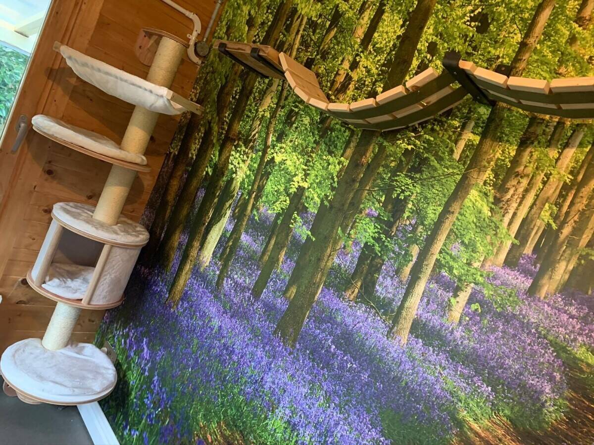 Luxury Five Star Boutique Cat Hotel and residence set in 3 acres