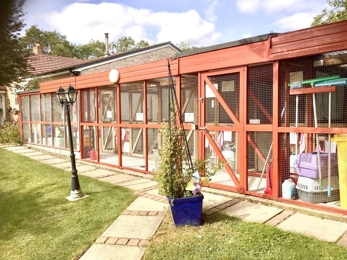Boarding cattery in Desborough Northants
