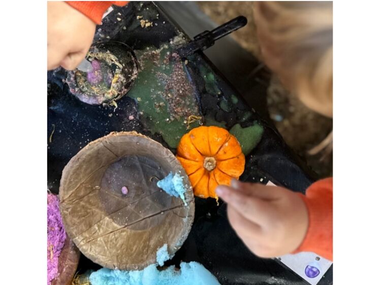 Award-Winning Children’s Play Business in the Heart of the Cotswolds