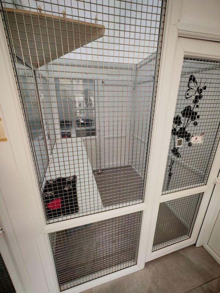 5-Star Licensed Cattery - Capacity for 30 Cats - Nottingham Photo 14