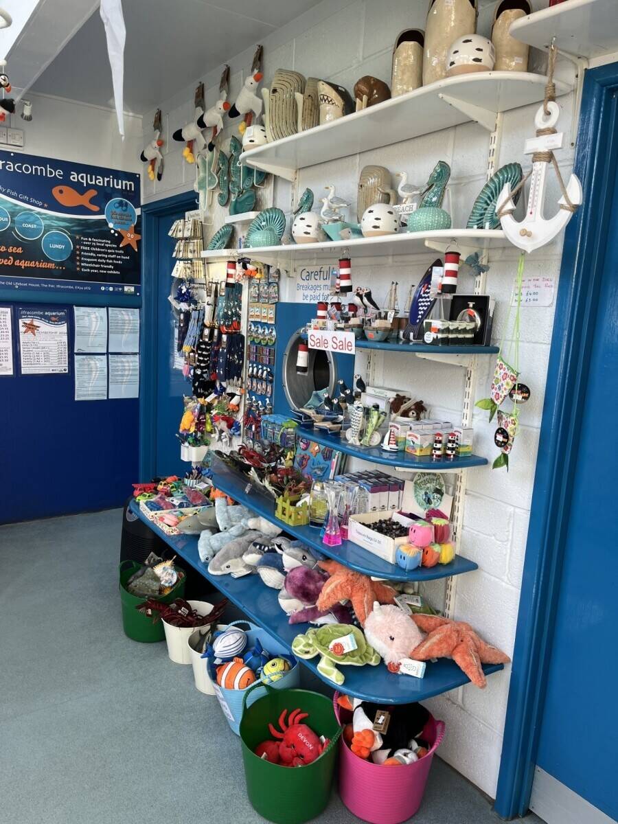 Award Winning & Unique Aquarium with Cafe & Gift Shop - North Devon Seaside Town