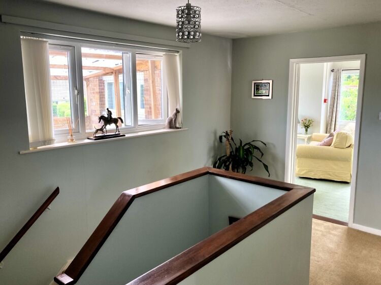 PET SUPPLIES & HAIR SALON (Operated by self-employed stylists)