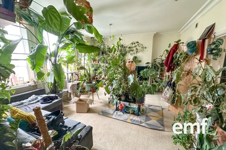 Let Commercial Investment With 4 Let Flats