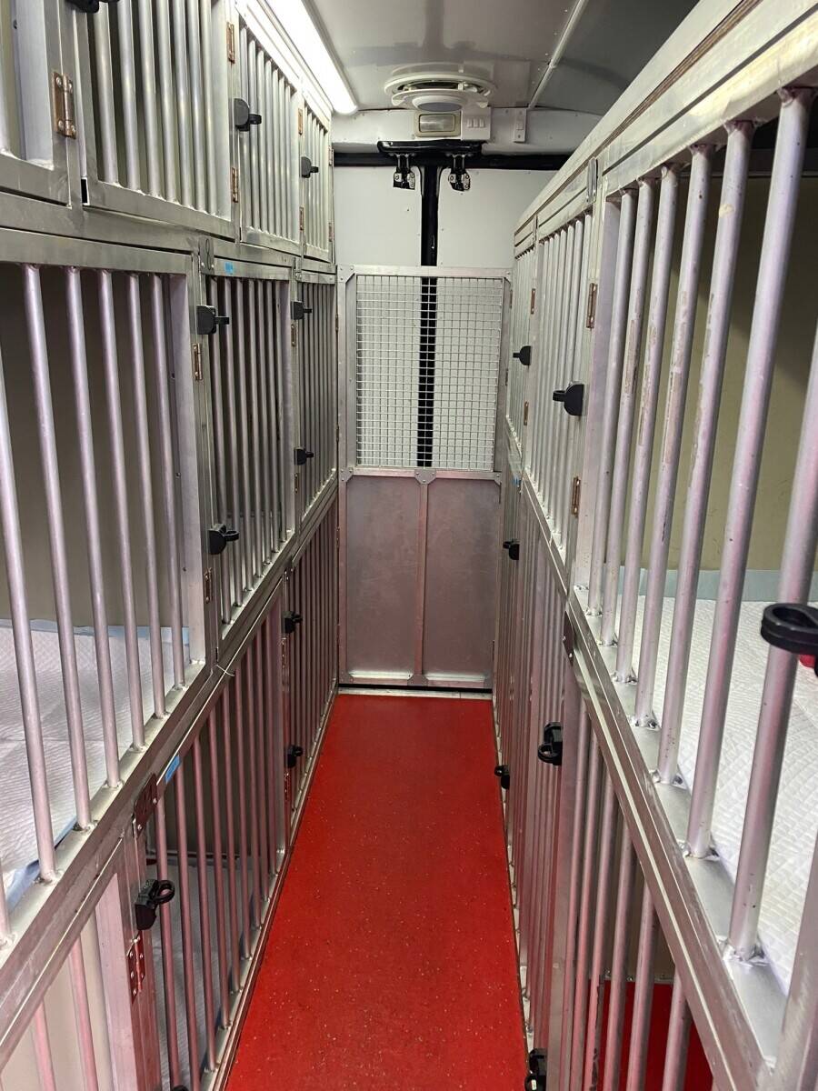 International Pet (Dogs and Cats) Transport Van - with all Licenses