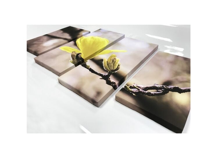 Distinctive Canvas Art & Gallery Business For Sale Photo 15