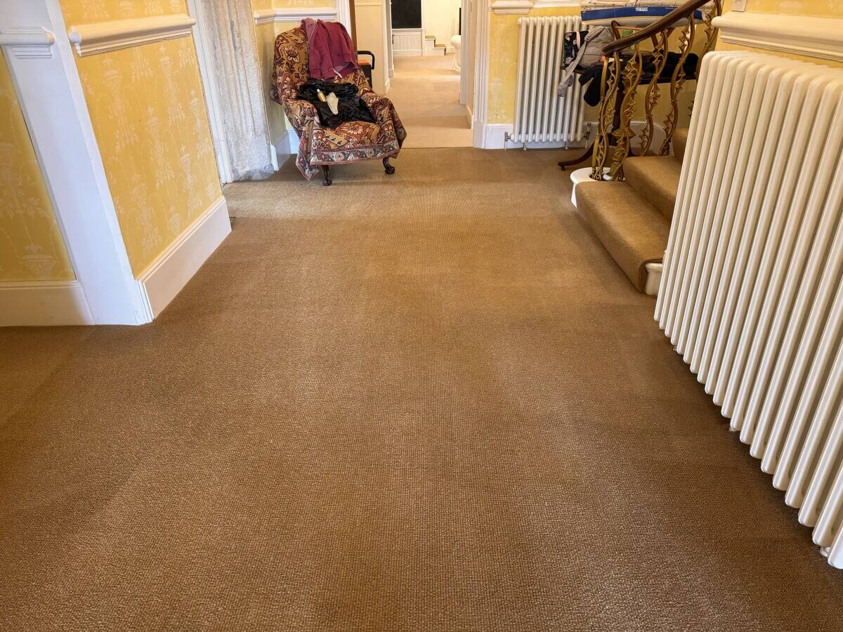 Carpet and upholstery cleaning business Photo 13