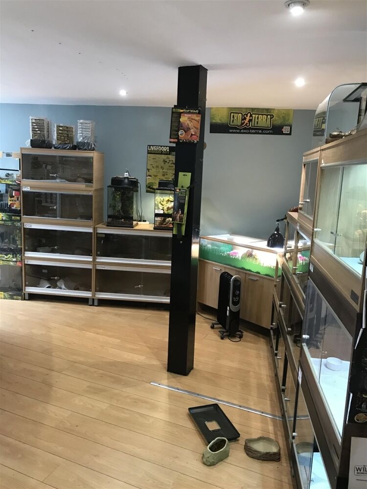 EXOTIC LIVE PETS EMPORIUM IN DUNDEE SUBURB