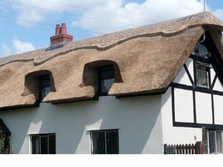 Well established Thatched Roofing Contractor for sale