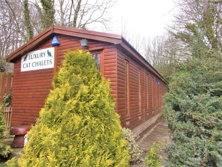 Kennels, Cattery & Equestrian businesses For Sale in Morpeth Photo 2