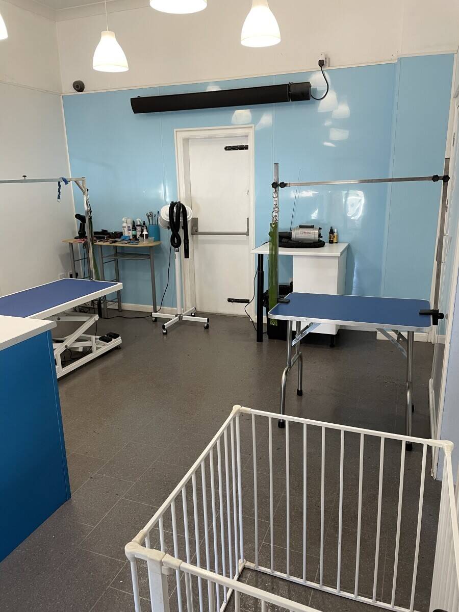 Dog Grooming Business For Sale in Giffnock, Glasgow Photo 2