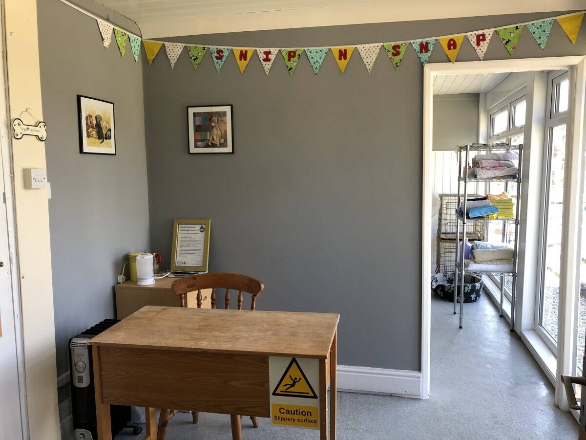 Dog grooming business for sale in Tavistock, Devon Photo 2