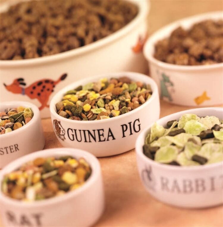 SUPPLIER OF VARIOUS PET GOODS Photo 2
