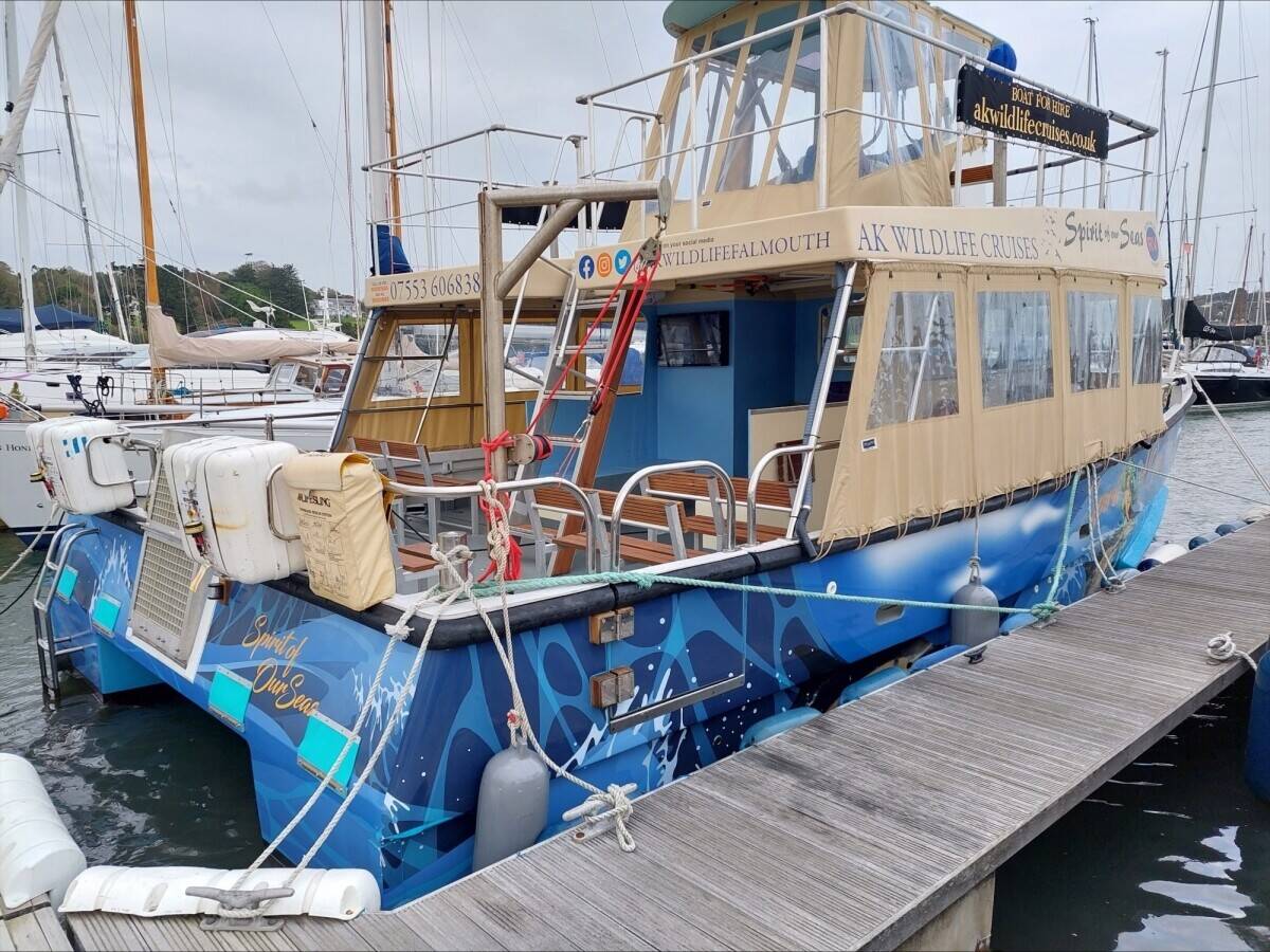 Unique Coastal Wildlife Cruises and Charters Marine Business in Cornwall for Sale