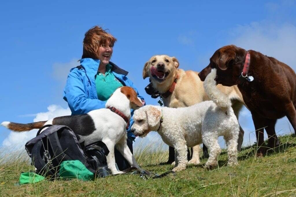 Pet Services Franchise For Sale in Sheffield Photo 2