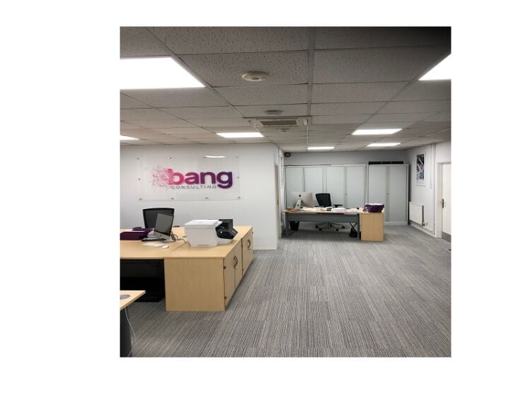 Commercial And Industrial LED Lighting Products And Solutions Business  For Sale