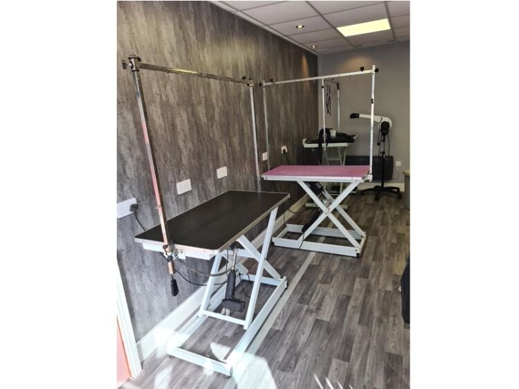 Well Established Dog & Cat Groomers For Sale Photo 2