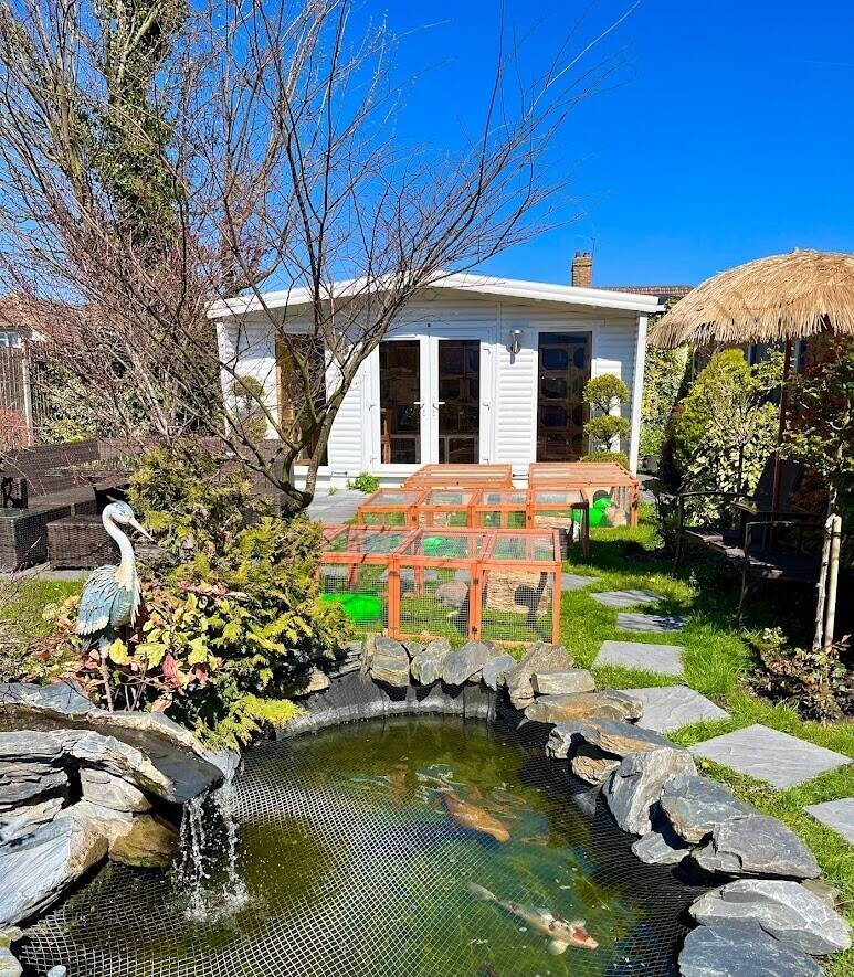 Home-Based Small Pet Boarding Hotel for Sale in Erith, Kent Photo 2