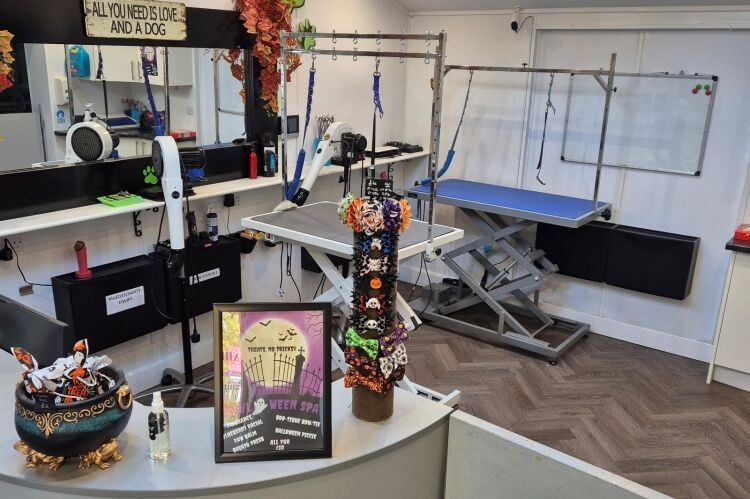 Leasehold Dog Groomers - Central Lancashire Photo 2