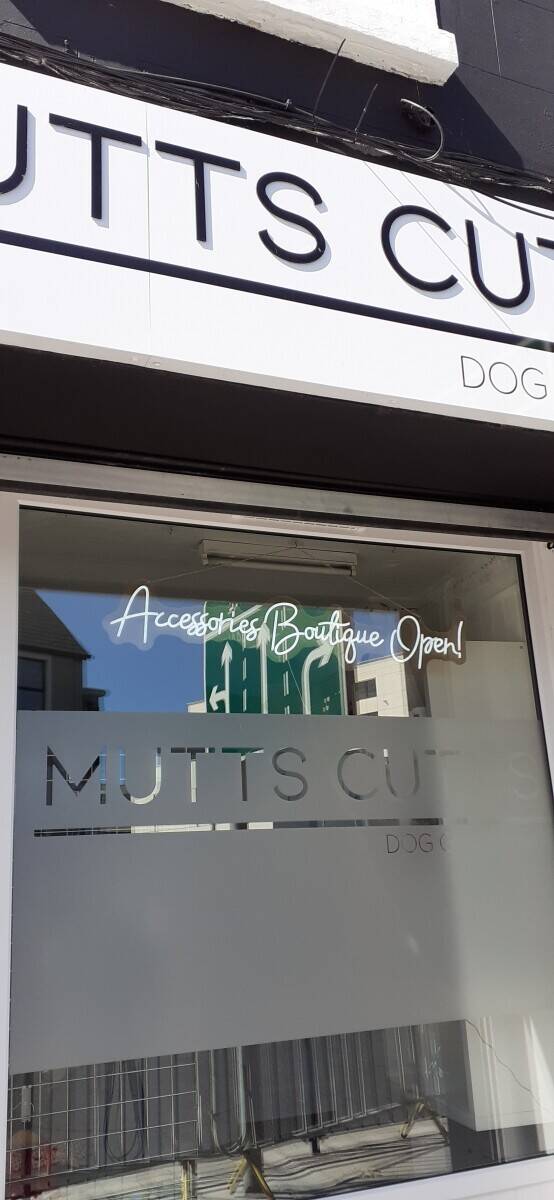 Dog Groomers Enniskillen