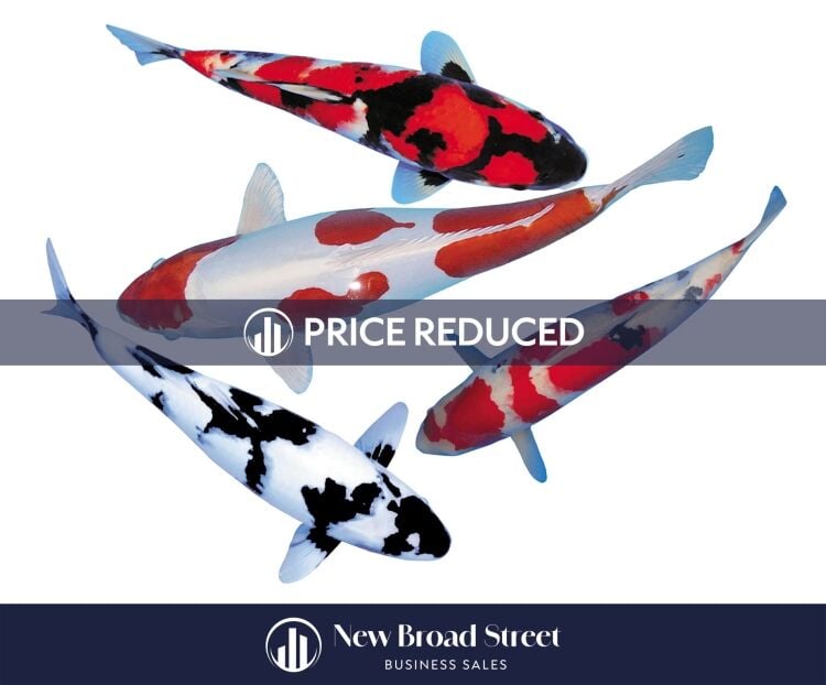 Koi Carp Business - Henley - OFFERS INVITED £125K Photo 2