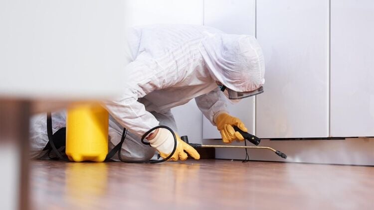 Relocatable Pest Control/Hygiene Company Photo 2