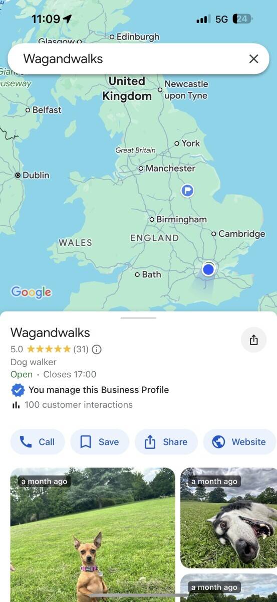 Wagandwalks Profitable Dog Walking & Care Business for Sale