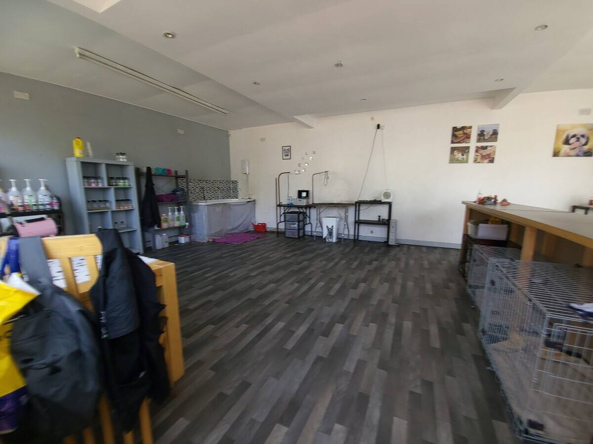 Dog groomers shop for rent