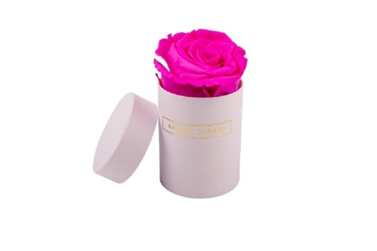 Established Relocatable Eternity Rose Business Photo 2