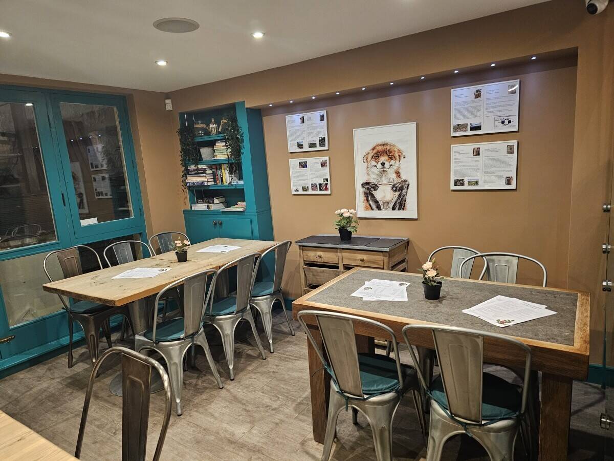 Charming cafe in Clifton Village Photo 3
