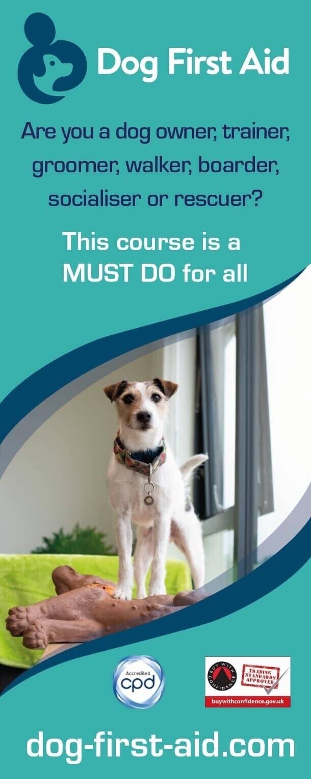 Dog First Aid Training for sale in Gloucestershire - Franchise