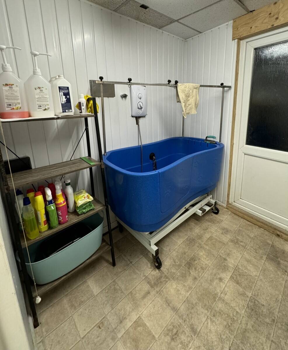 Dog grooming business for sale Tonypandy  Photo 2