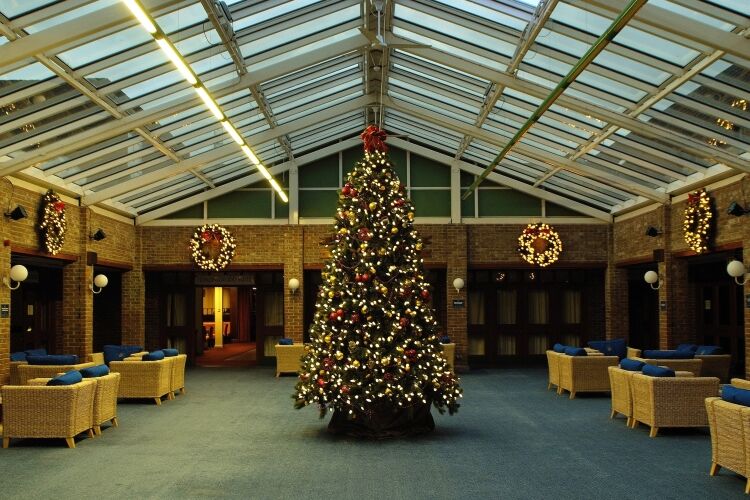 Established Install Company of Seasonal Decor