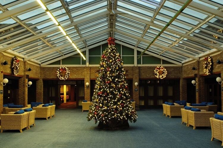 Established Install Company of Seasonal Decor Photo 2