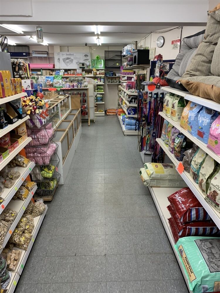PET SUPPLIES & ACCESORIES busy trading locality YORK Photo 2