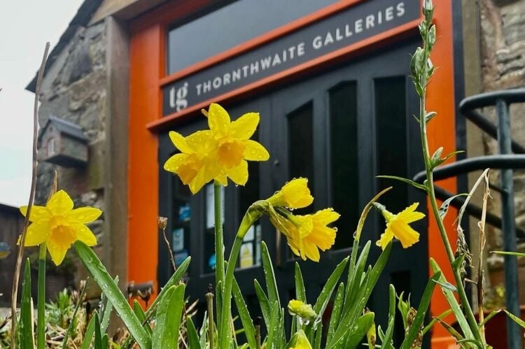 3 Luxury Holiday Cottages with Gallery & Tearoom Photo 2