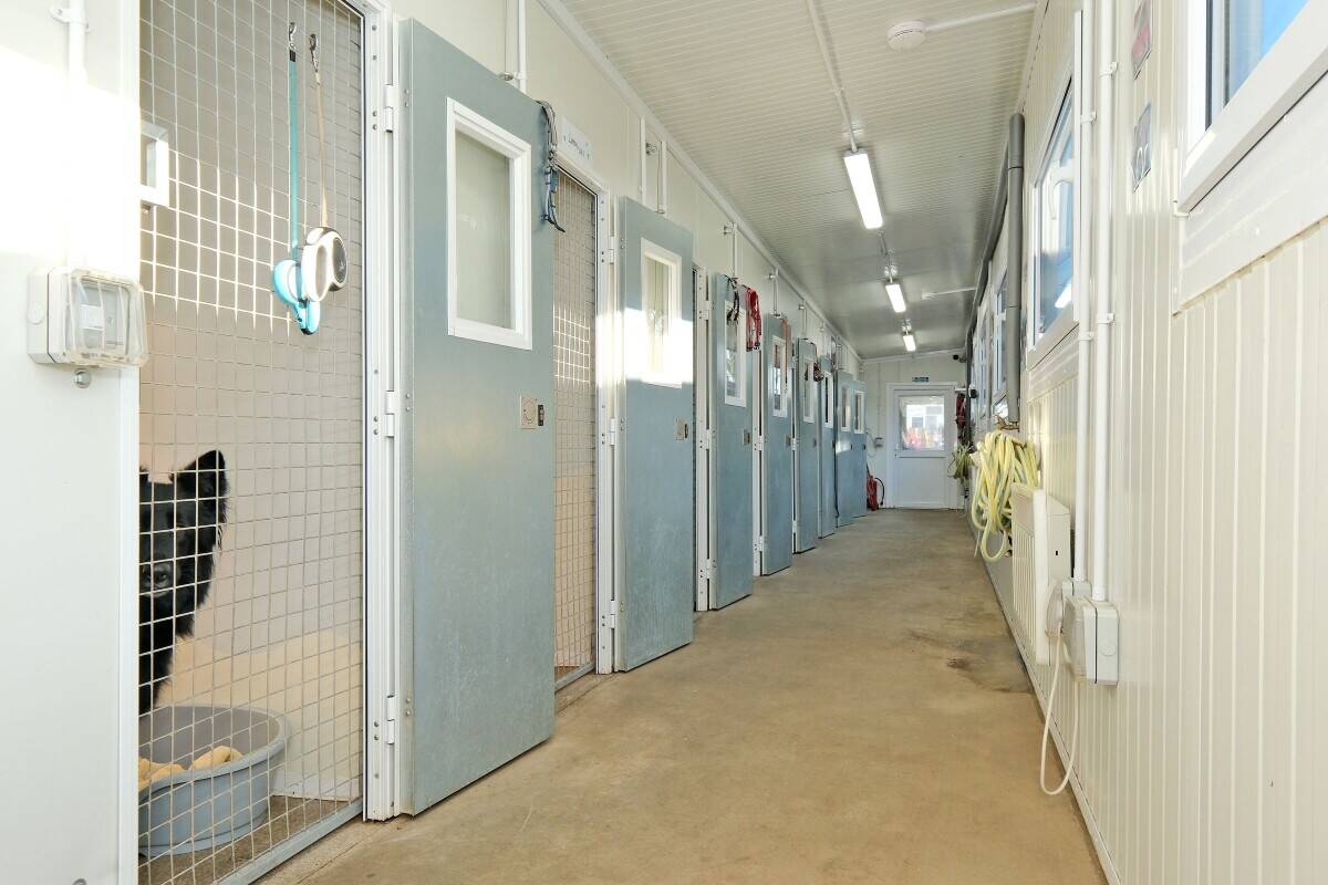 Luxury Boarding Kennel and Stunning 4 Bedroom Home