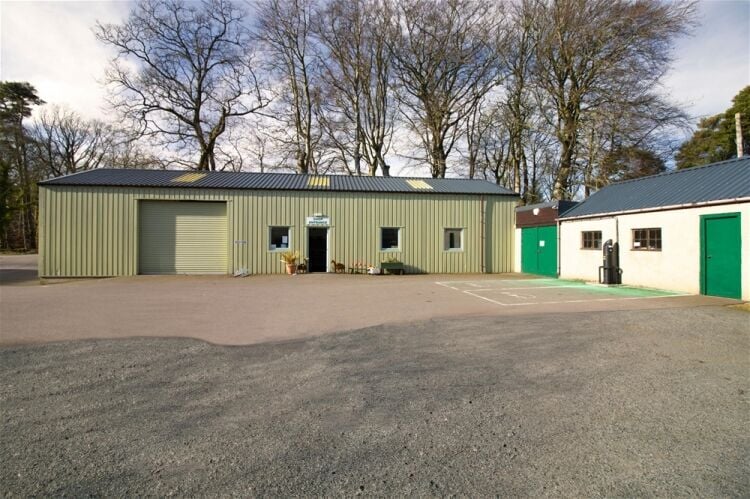 Buchan Saw and Tool Service Photo 2