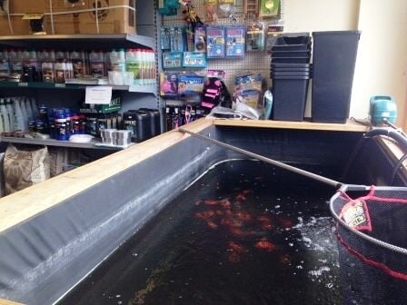 Angling & Fish Supplies Shop - Grimsby