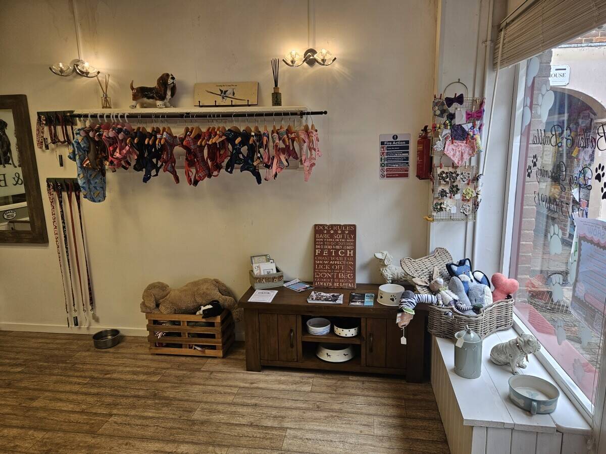 Dog grooming business in Henfield 