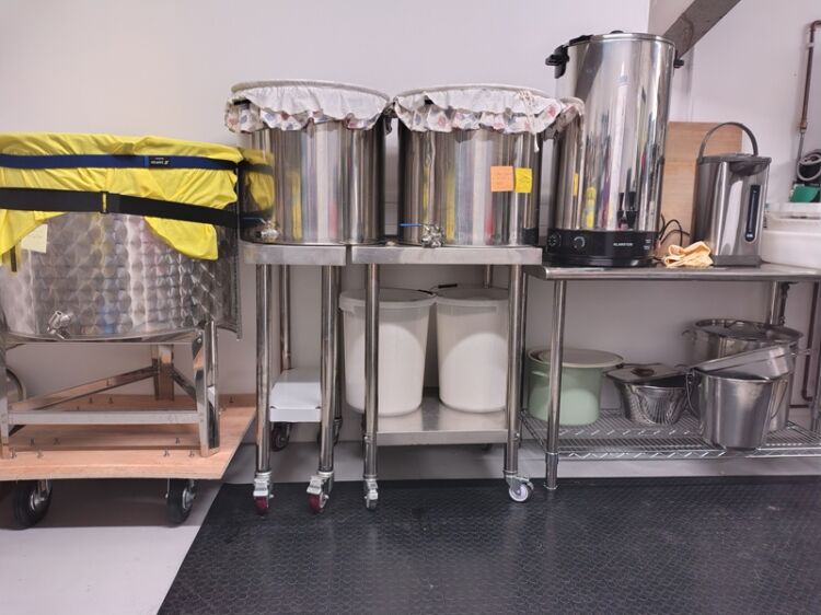 A Fresh Opportunity in the World of Kombucha Brewing