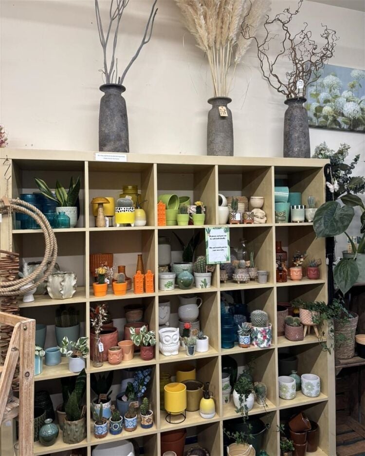 AN ESTABLISHED FLORIST