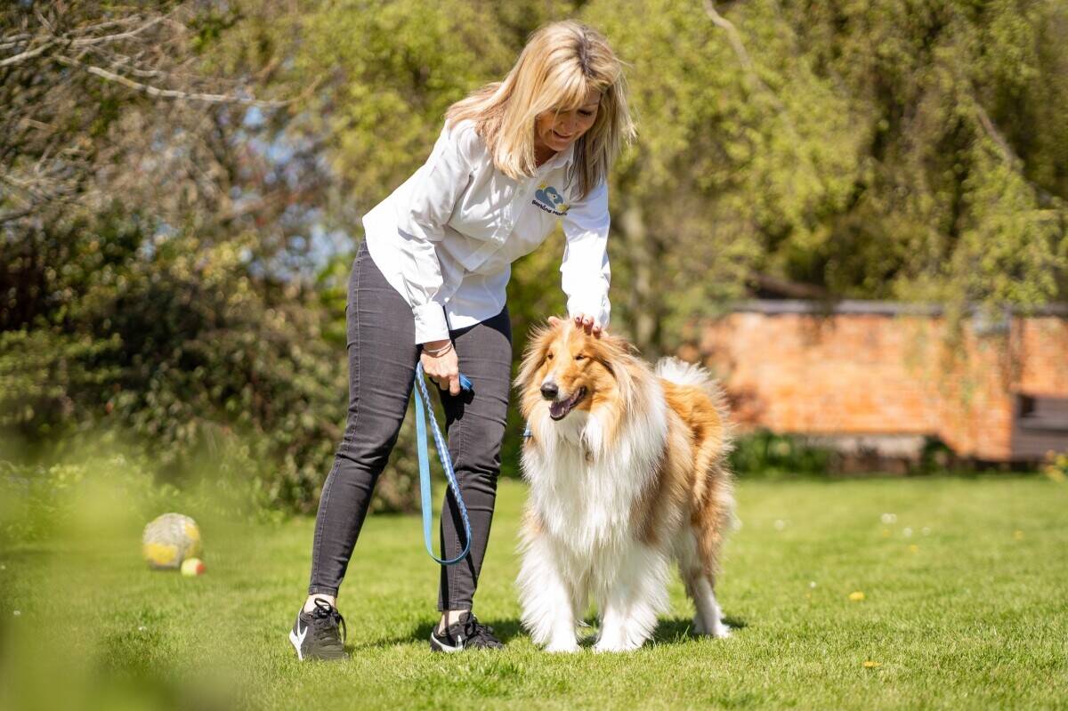 Successful Chichester pet care franchise with huge growth potential for sale Photo 2