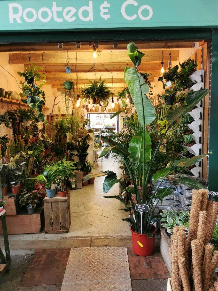 Established Plant Business with Retail, Online and Corporate Clients  Brighton, East Sussex Photo 2