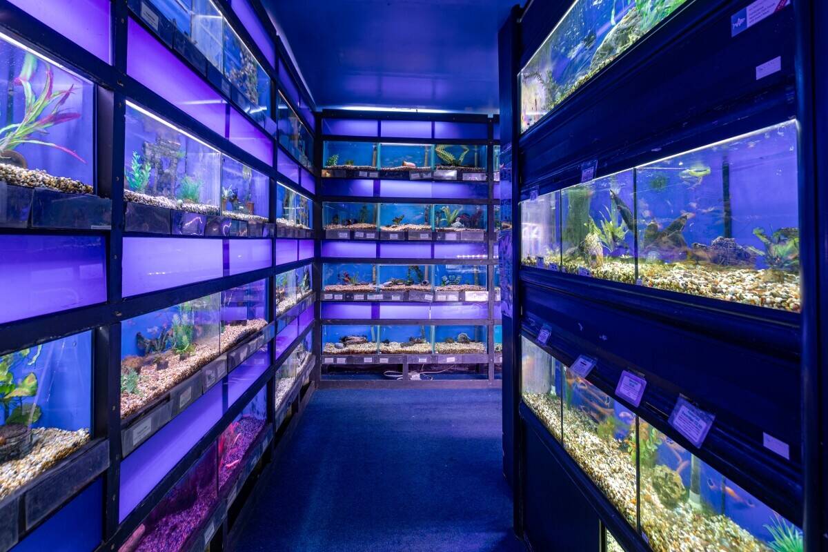 Established Aquatic and Pet Business with 4 bed Home North Yorkshire