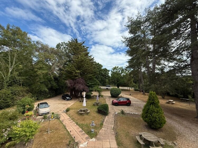 Escape to the Forest – Charming B&B with Bistro Opportunity Photo 2