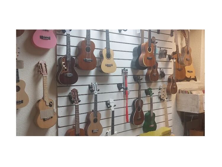 Strike the Right Chord – Established Music Shop with Online Reach