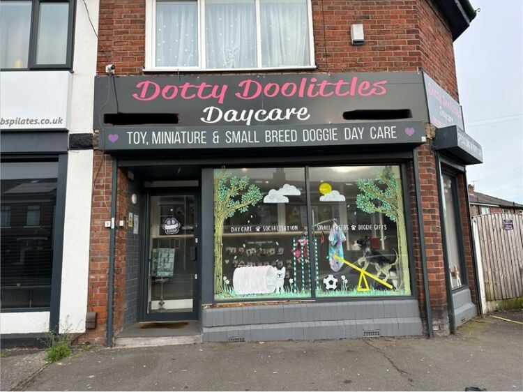 Paws, Play & Profit – Thriving Doggy Daycare with Loyal Client Base Photo 2