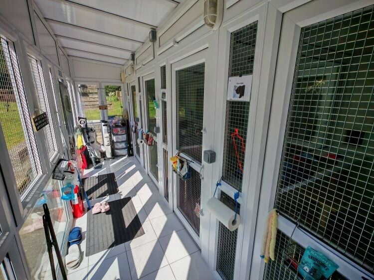 5-Star Licensed Cattery with Freehold Bungalow - Eastwood, Nottingham Photo 2